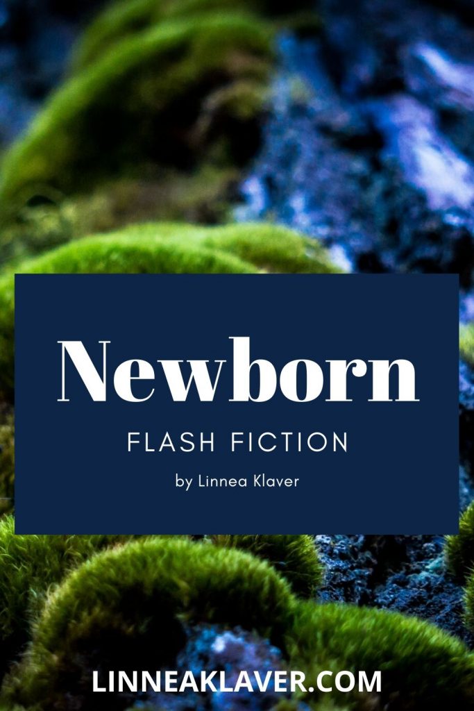 Pin for Newborn flash fiction by Linnea Klaver