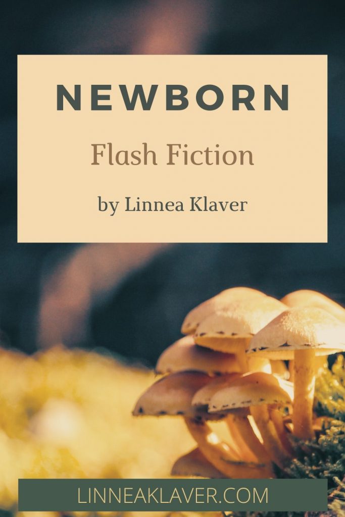 Pin for Newborn flash fiction by Linnea Klaver