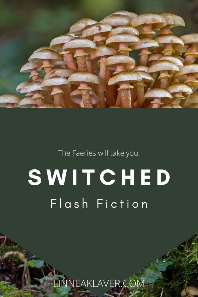 Pin for Switched a Flash Fiction by Linnea Klaver