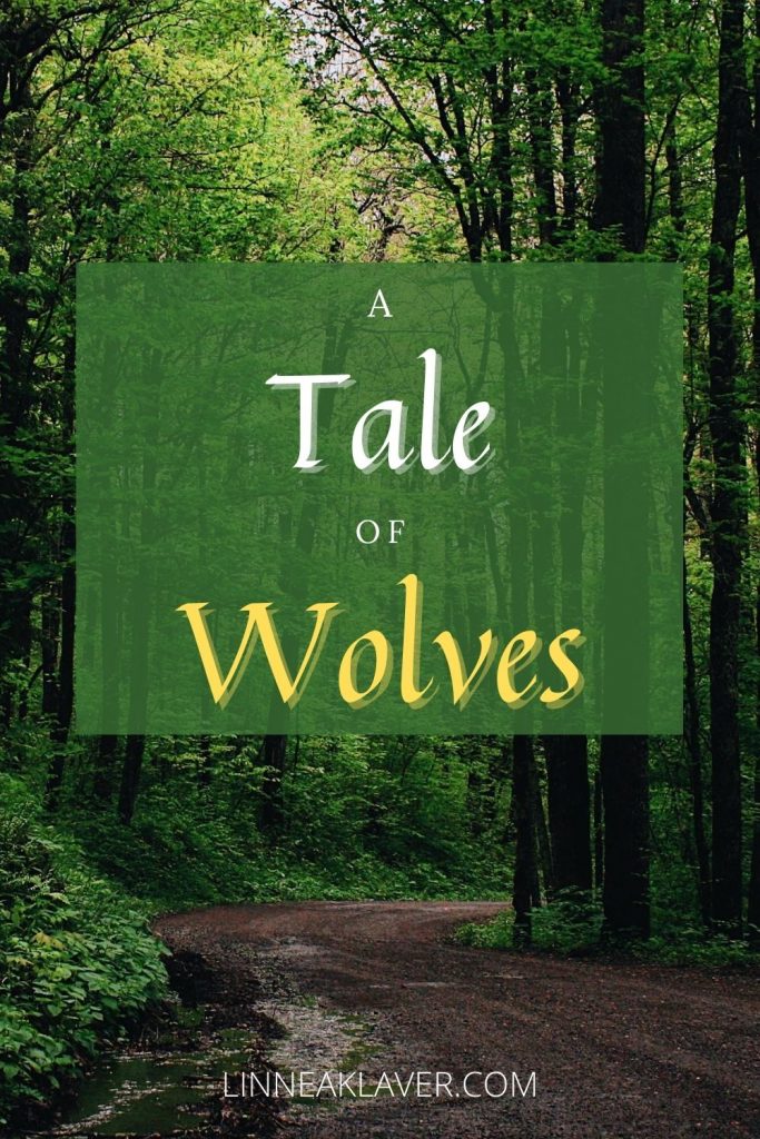 A pinnable cover image for A Tale of Wolves picturing a trail