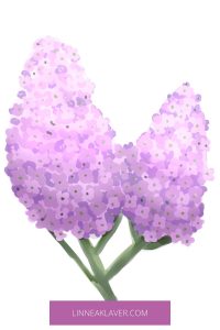 Pair of Lilacs